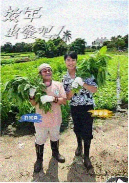 嫩草影院综艺现场 城市漫游者海报